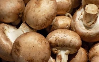 Названий простий продукт для захисту від раку молочної залози
