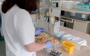 Медики научились бороться с вредными грибковыми инфекциями