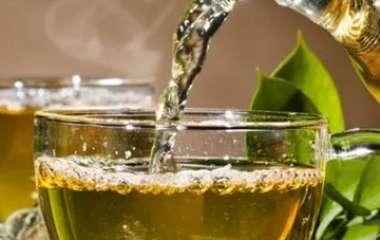 Можно ли пить его с сахаром и холодным: Как правильно заваривать зеленый чай