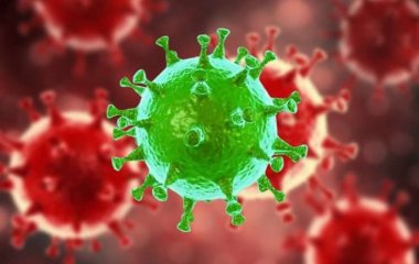 У коронавируса выявили неожиданное полезное свойство