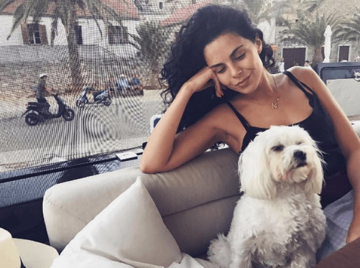 Звёздные любимцы: пушистые питомцы знаменитостей, у которых есть свой инстаграм