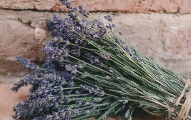 Як приготувати напій від головного болю та стресу з лаванди та лимона