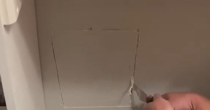 Подружжя почуло дивний шум у стіні будинку: те, що було всередині, шокувало їх – фото
