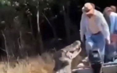 Жахливий момент: гігантський крокодил кинувся на човен із туристами (фото)