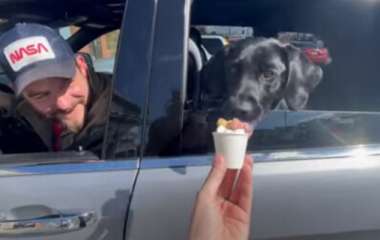 Собака, которую угостили мороженым, заглотила его вместе со стаканчиком (ВИДЕО)