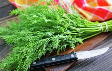 Дієтолог назвав п'ять недооцінених продуктів для зміцнення імунітету