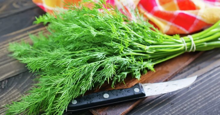 Дієтолог назвав п'ять недооцінених продуктів для зміцнення імунітету