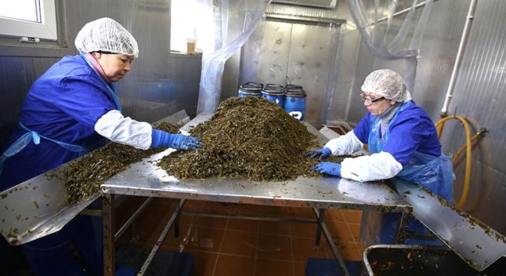 Названий продукт, що знижує ризик зараження вірусами