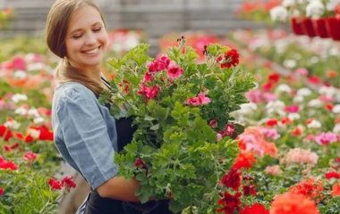 Продолжит цветение: чем обработать цветы в саду
