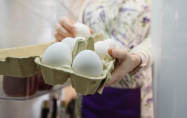 Яйця будуть свіжими дуже довго: ось як правильно їх зберігати, щоб подовжити термін придатності