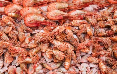 Лікар перерахував корисні продукти для серцево-судинної системи