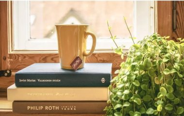 Що не можна зберігати біля вікна: які речі псуються на сонці