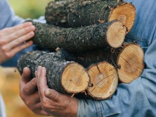 Які дрова найкращі для опалення: що дає більше тепла і довше горить