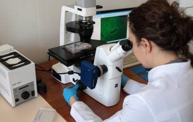 Вчені дізналися про механізм, який захищає мозок від хвороби Стівена Хокінга