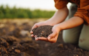 Краще за гній: розкидайте це наприкінці березня — і вже у квітні ґрунт стане пухким та родючим