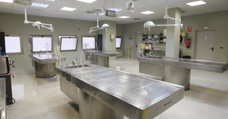 90-річний чоловік в морзі раптово «ожив» після зупинки серця