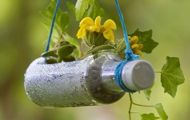 В жодному разі не викидайте пластикові пляшки: 8 способів застосування на городі