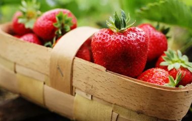 Покращують пам'ять: лікар-дієтолог назвала найкращі продукти для мозку