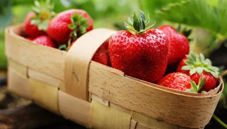 Покращують пам'ять: лікар-дієтолог назвала найкращі продукти для мозку