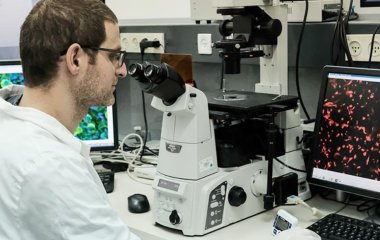 Вчені виявили білок, що розщеплює ракові клітини.