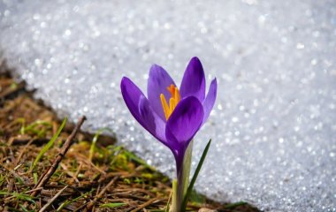 Народні прикмети сьогодні, 16 березня: що заборонено і дозволено робити