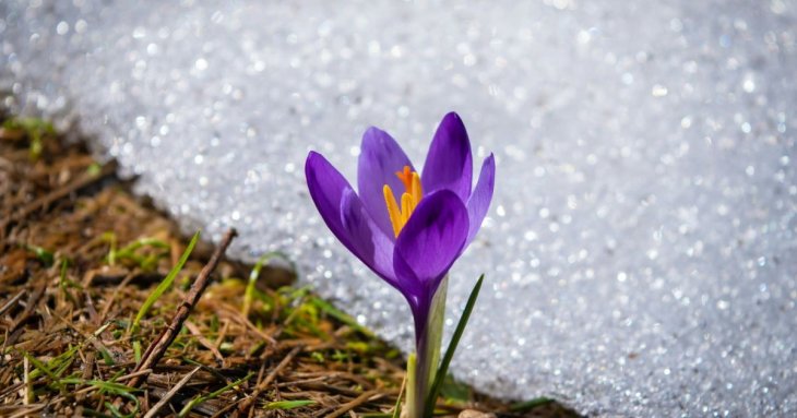 Народні прикмети сьогодні, 16 березня: що заборонено і дозволено робити