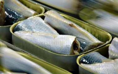 Риба, яку ми недооцінюємо: недорога, смачна і корисніша за оселедець, лосось та скумбрію