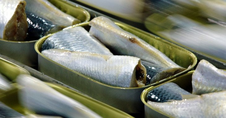 Риба, яку ми недооцінюємо: недорога, смачна і корисніша за оселедець, лосось та скумбрію