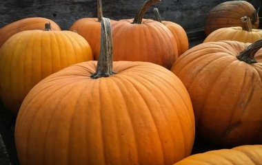 Три недорогі продукти, які врятують вас від підвищеного холестерину