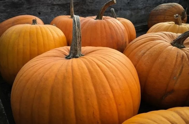 Три недорогі продукти, які врятують вас від підвищеного холестерину