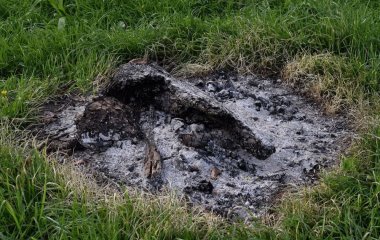 Виявляється, ми часто робимо неправильно: помилки під час внесення золи в ґрунт