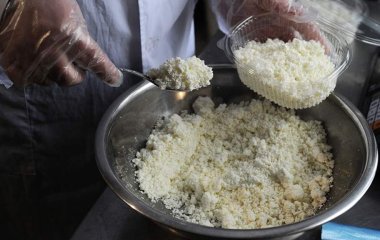 Дієтолог назвала оптимальну для засвоєння кальцію жирність сиру