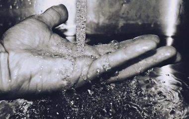 Три простих та ефективних способи перевірити здоров'я серця в домашніх умовах