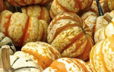 Названий простий овоч від діабету та гіпертонії