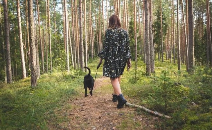 Скільки треба гуляти, щоб схуднути