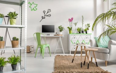 4 комнатных растения, которые эффективно очищают воздух жарким летом