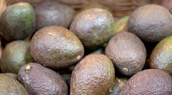 Диетолог назвала улучшающие память продукты