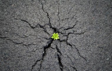 9 способов найти в себе желание жить которые надо попробовать уже сегодня