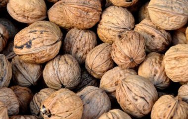 Названо шість простих продуктів для зміцнення імунітету