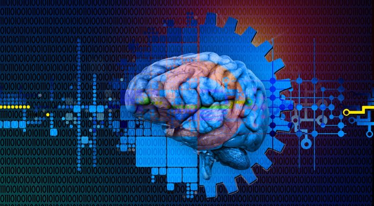 Ученые перечислили способы предотвращения старения мозга