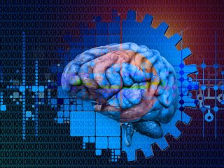 Ученые перечислили способы предотвращения старения мозга