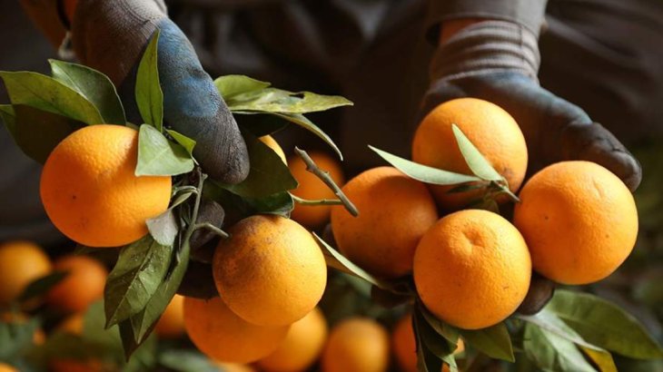 Індійський дієтолог розповіла про продукти для боротьби зі втомою