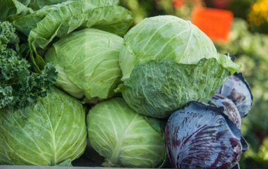 Восемь полезных свойств капусты для здоровья назвали врачи
