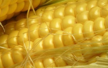 Дієтолог попередив про шкоду частого вживання кукурудзи