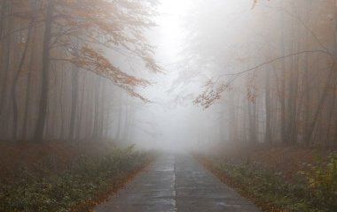 Що означає «мжичка» — значення слова в українській мові: ніколи не здогадаєтесь