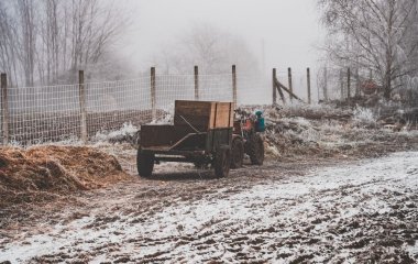 Чи треба взимку підживлювати ґрунт: неочікувана відповідь експертів