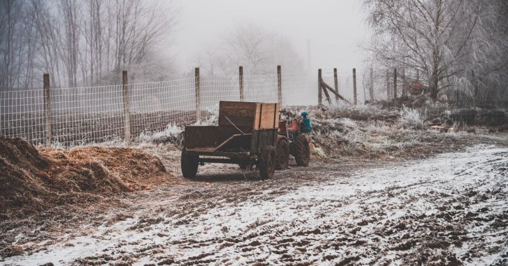 Чи треба взимку підживлювати ґрунт: неочікувана відповідь експертів