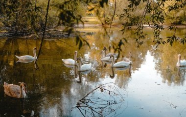 День ангела 5 жовтня: кого та як вітати з іменинами