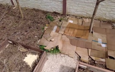 Навіщо садівникам та городникам потрібно збирати картон: 5 способів застосування