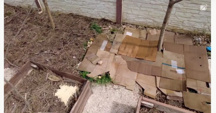 Навіщо садівникам та городникам потрібно збирати картон: 5 способів застосування